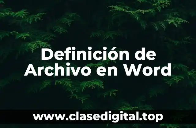 Definición de Archivo en Word