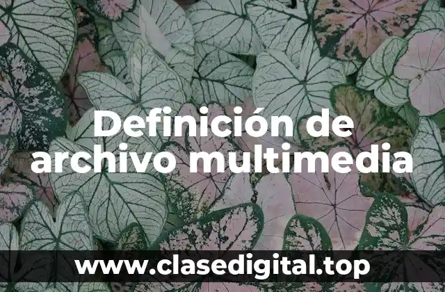 Definición de archivo multimedia