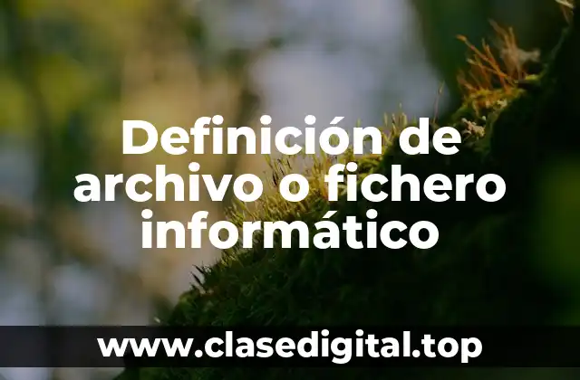 Definición de archivo o fichero informático