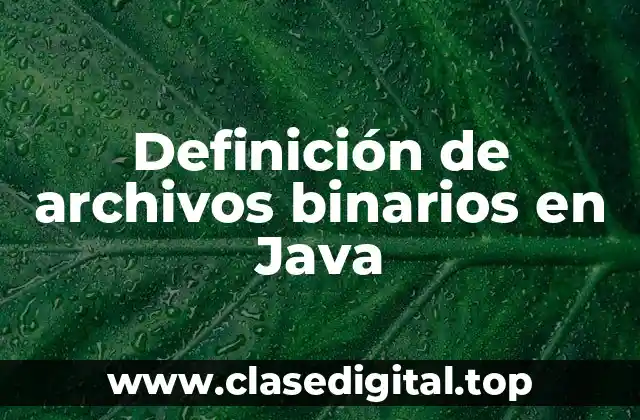 Definición de archivos binarios en Java