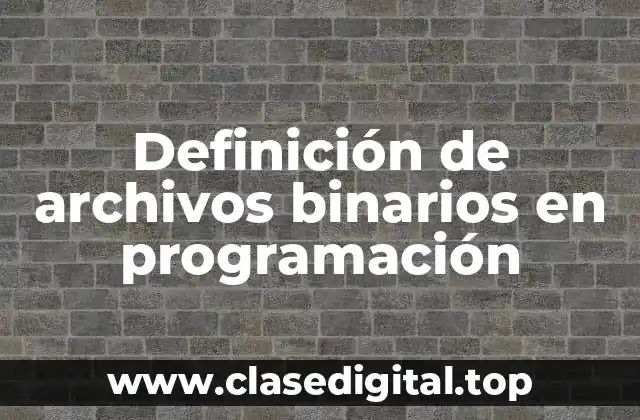 Definición de archivos binarios en programación