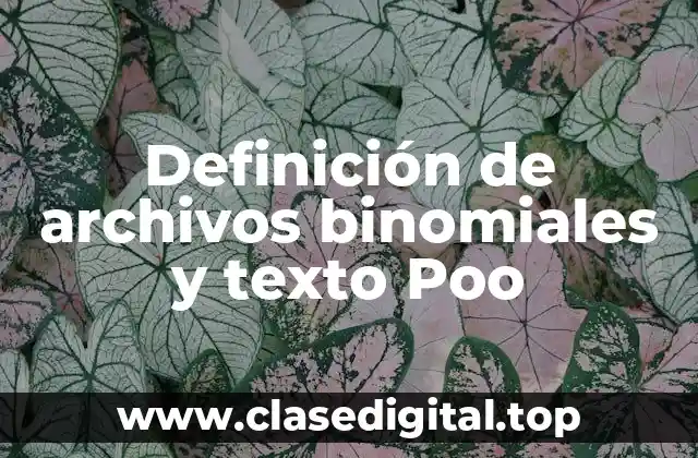 Definición de archivos binomiales y texto Poo