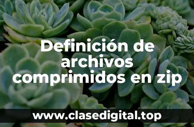Definición técnica de archivos comprimidos en zip