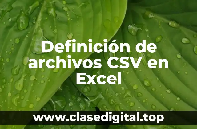 Definición de archivos CSV en Excel
