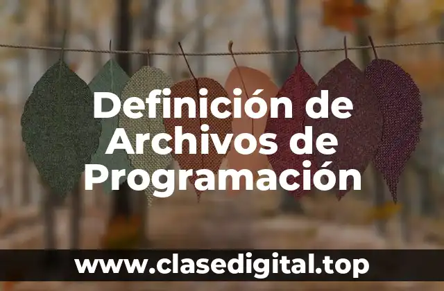 Definición de Archivos de Programación