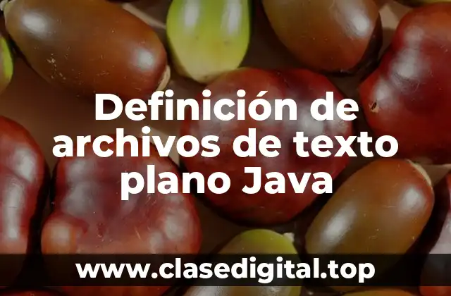 Definición de archivos de texto plano Java