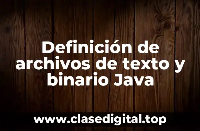 Definición de archivos de texto y binario Java