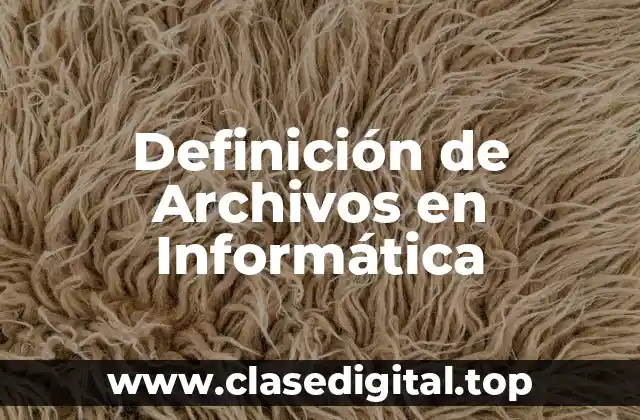 Definición de Archivos en Informática