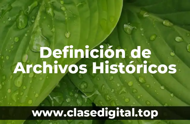 Definición técnica de archivos históricos