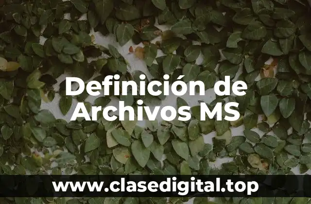 Definición de Archivos MS