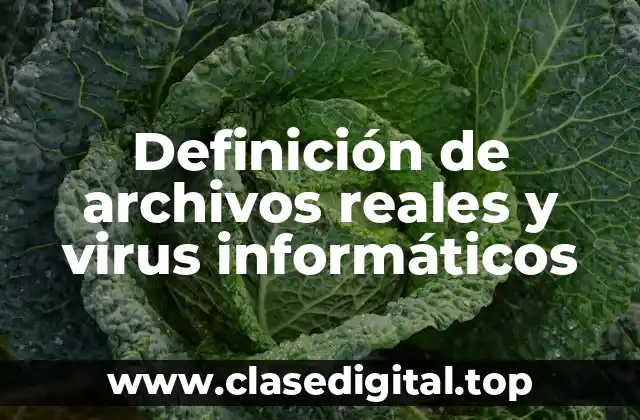 Definición de archivos reales y virus informáticos