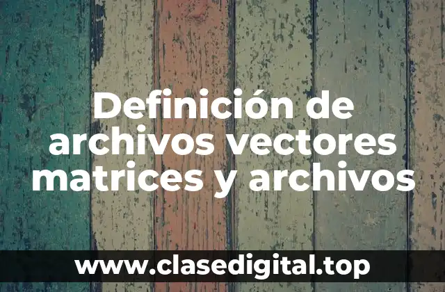 Definición de archivos vectores matrices y archivos
