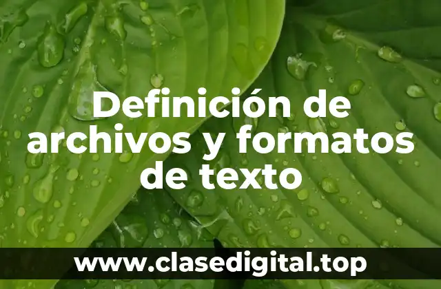 Definición de archivos y formatos de texto