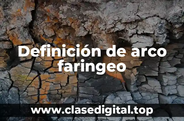 Definición de arco faringeo