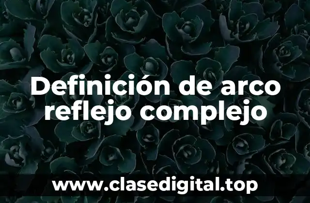 Definición de arco reflejo complejo