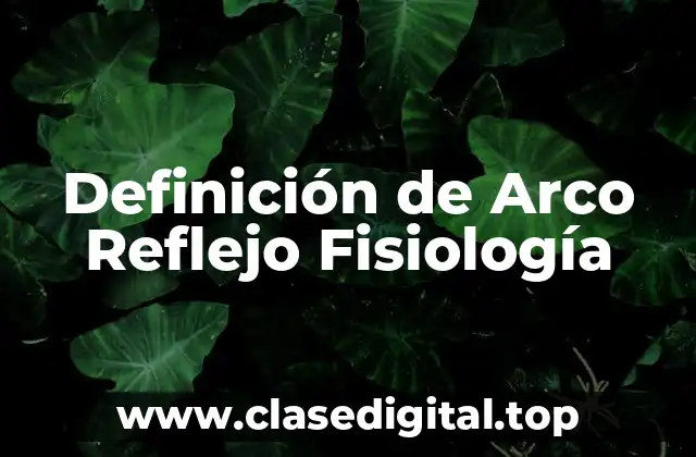 Definición de Arco Reflejo Fisiología