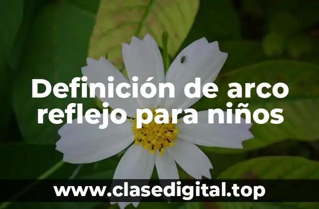 Definición de arco reflejo para niños