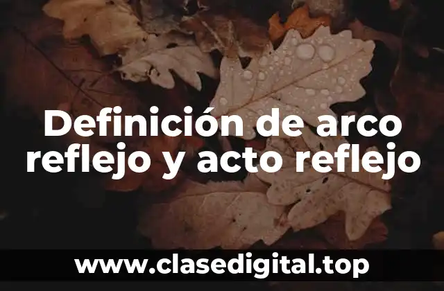 Ejemplos de arco reflejo y acto reflejo
