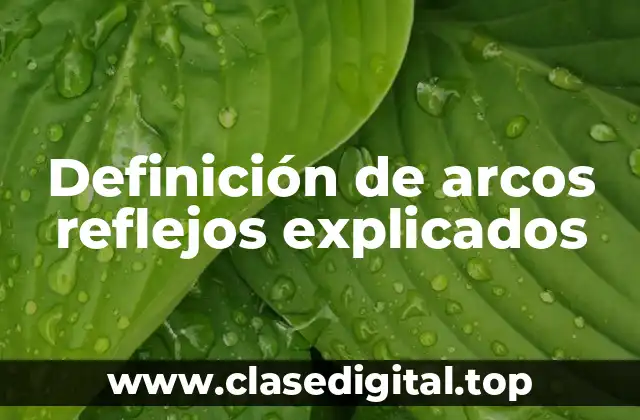 Definición de arcos reflejos explicados