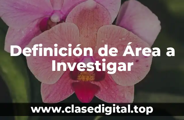 Definición de Área a Investigar