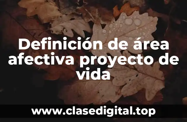 Definición de área afectiva proyecto de vida