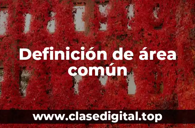 Definición de área común