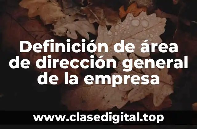 Ejemplos de área de dirección general de la empresa