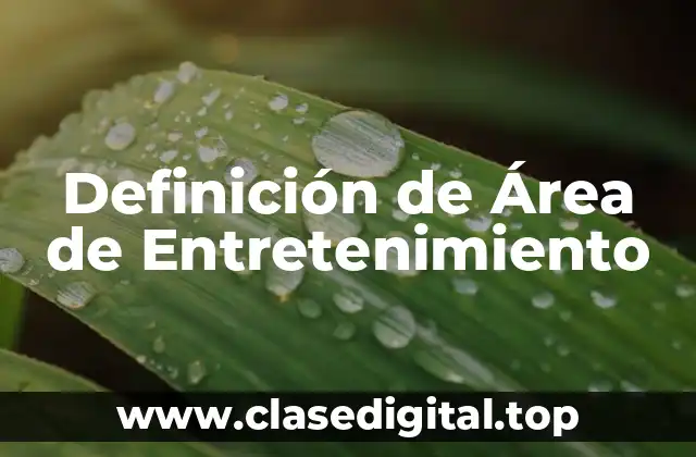 Definición de Área de Entretenimiento