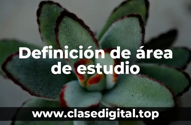 Definición de área de estudio