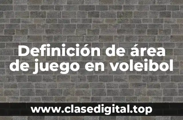 Definición de área de juego en voleibol