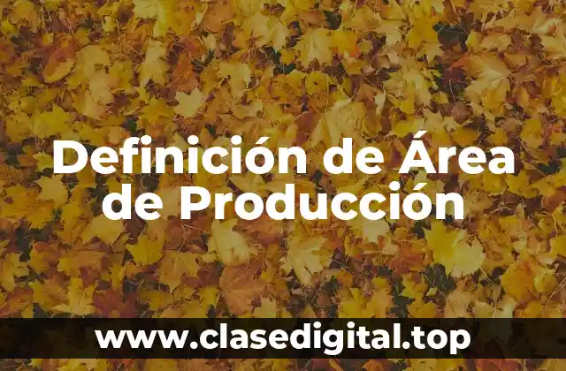 Definición Técnica de Área de Producción