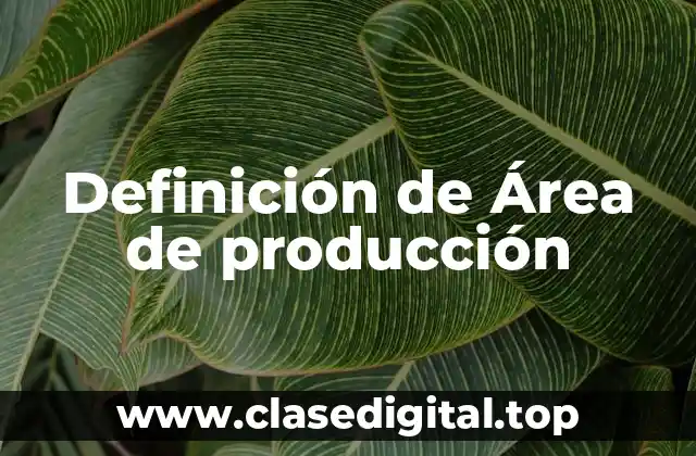 Definición de Área de producción