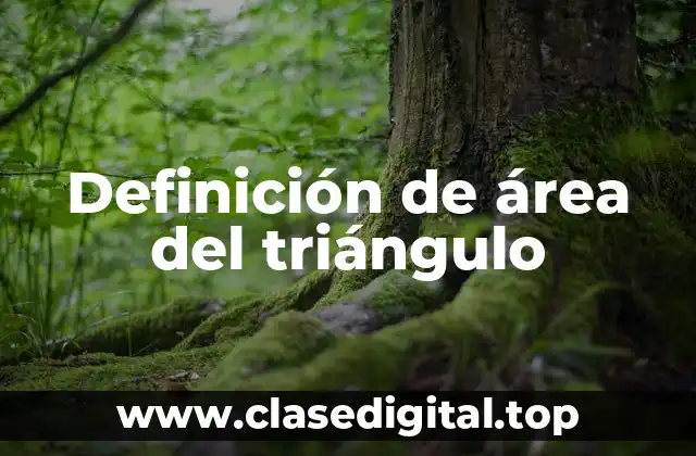 Definición de área del triángulo