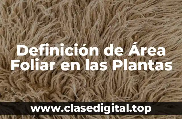 Definición de Área Foliar en las Plantas