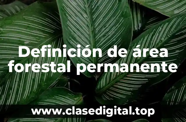 Definición de área forestal permanente