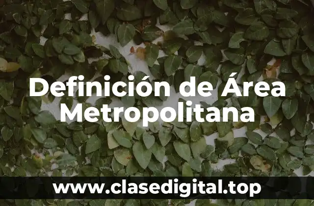 Definición de Área Metropolitana