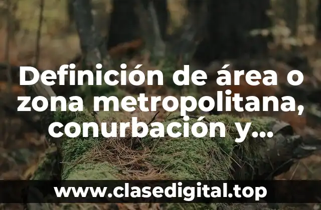 Definición de área o zona metropolitana, conurbación y megalópolis