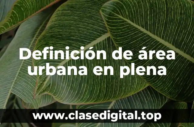Definición de área urbana en plena