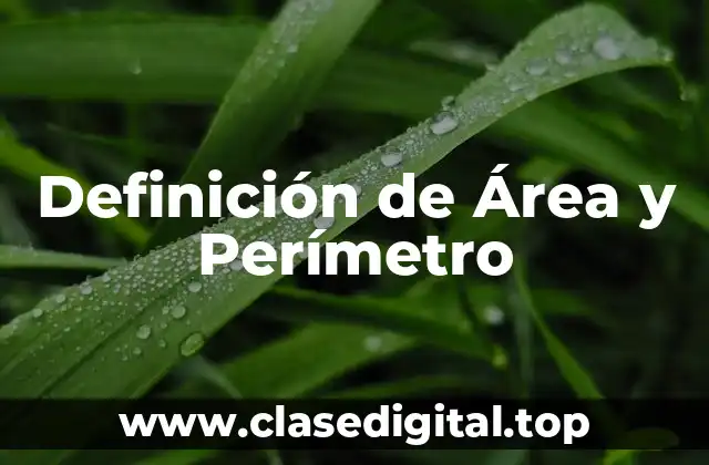 Definición técnica de Área y Perímetro