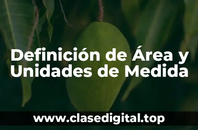 Definición de Área y Unidades de Medida