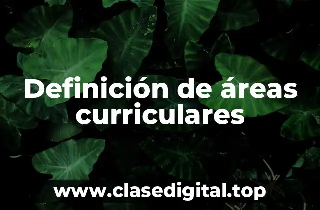 Definición de áreas curriculares