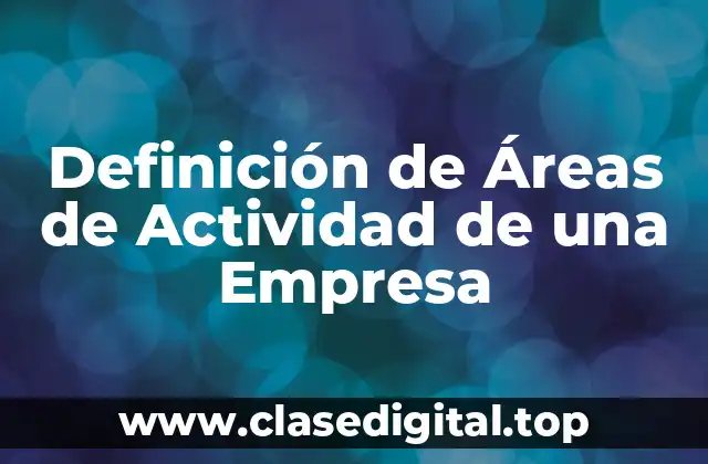 Definición de Áreas de Actividad de una Empresa