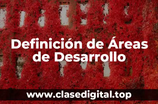 Definición de Áreas de Desarrollo