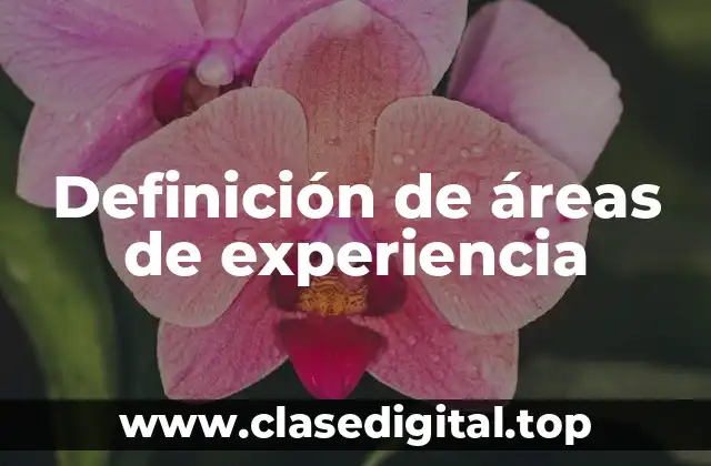 Definición de áreas de experiencia