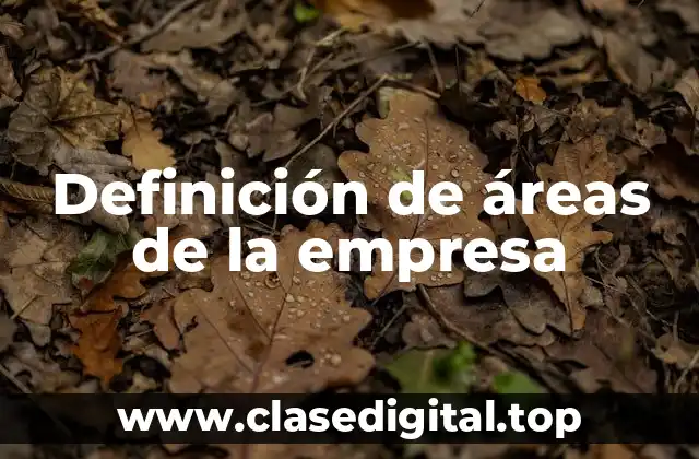 Definición de áreas de la empresa