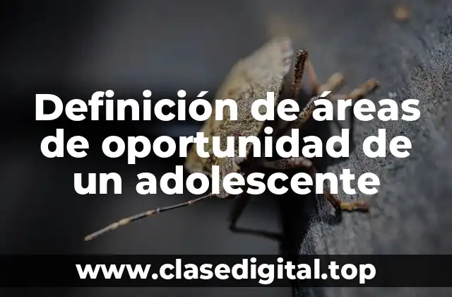 Definición de áreas de oportunidad de un adolescente
