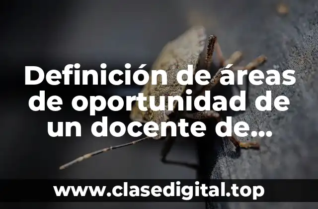 Definición de áreas de oportunidad de un docente de preescolar