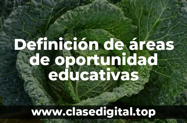 Definición de áreas de oportunidad educativas