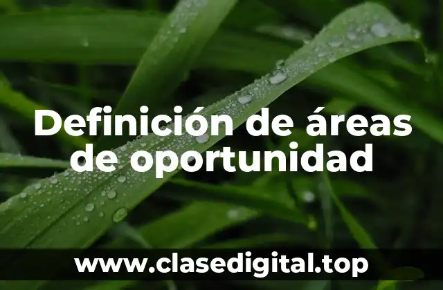 Definición de áreas de oportunidad