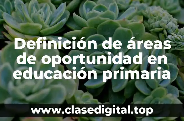 Definición de áreas de oportunidad en educación primaria